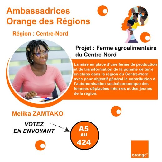 Ambassadrices Orange des régions : Votez pour le projet 