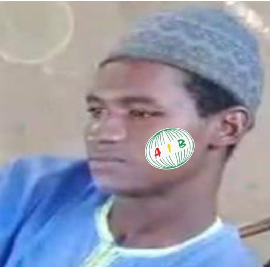 Burkina&nbsp;: Plusieurs chefs terroristes neutralisés dans le Sourou