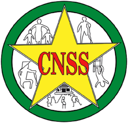 CNSS : Une vaste opération de contrôle pour les transporteurs routiers