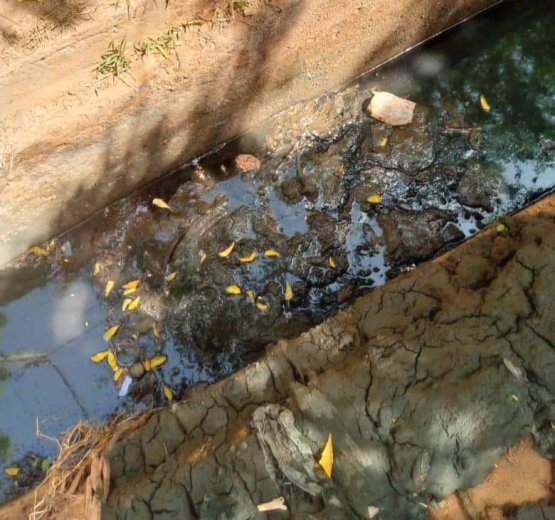 Ouagadougou :  Au lendemain du lancement d’une campagne d’assainissement, un ménage déverse sa fosse septique dans les caniveaux