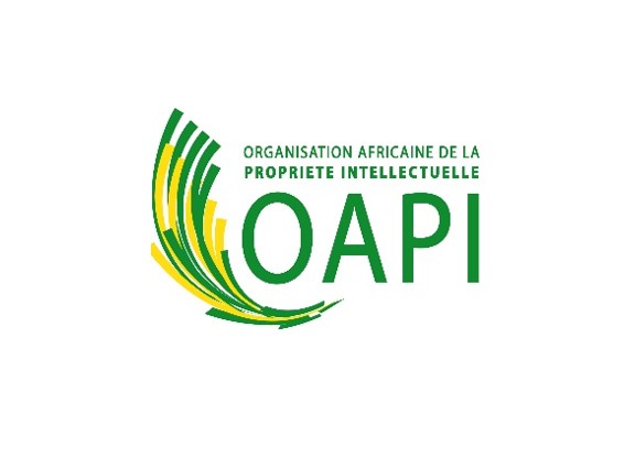 Appel à candidatures pour la 10ème édition du Salon Africain de l’Invention et de l’Entreprise Innovante, Niamey -2026