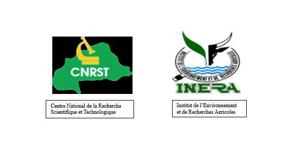 Titre&nbsp;: pluralité des représentations sociales des acteurs politiques et agropasteurs au Burkina Faso