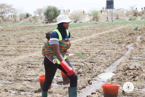 Production agricole : Le Chef de l'Etat félicite les étudiants en formation  sur un projet incubateur à Bagré - leFaso.net