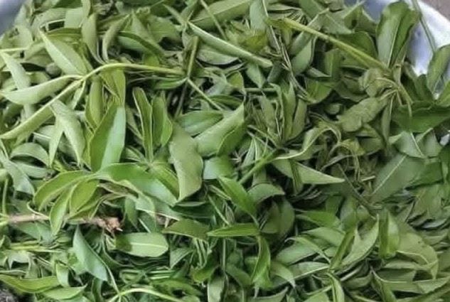 Période de soudure au Burkina Faso&nbsp;: Valoriser nos produits locaux pour continuer à manger sainement
