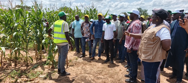 Samendeni&nbsp;: L’AGRODIA et ses partenaires au cœur de l’innovation agricole pour la souveraineté alimentaire