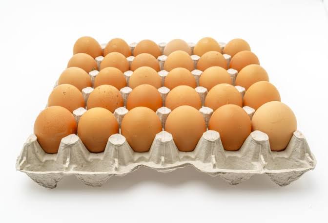 Burkina&nbsp;: Le prix de vente de l’œuf de poule pondeuse désormais fixé à 100 F au consommateur final