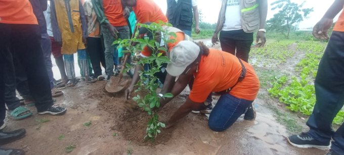 Journée mondiale de l’aide humanitaire 2026&nbsp;: 120 plants en terre à Tanghin 