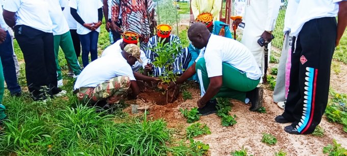 Ziniaré&nbsp;: La société Sidnoma Immobilier plante des arbres pour marquer son dixième anniversaire