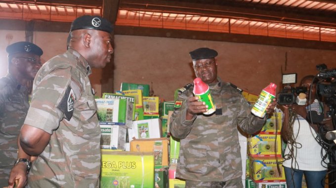 La Douane saisit une cargaison de produits alimentaires et agrochimiques non conformes d’une valeur de 115 millions de FCFA
