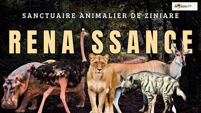 Burkina/Tourisme interne&nbsp;: Et si vous mettiez le cap sur le Sanctuaire animalier de Ziniaré&nbsp;?