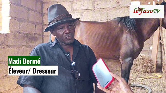 Journée mondiale du cheval&nbsp;: À la découverte d’une passion qui traverse les générations