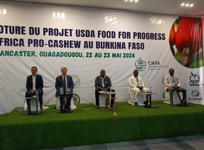 Filière anacarde : Le projet USDA Food for Progress West Africa PRO-Cashew à l’heure du bilan