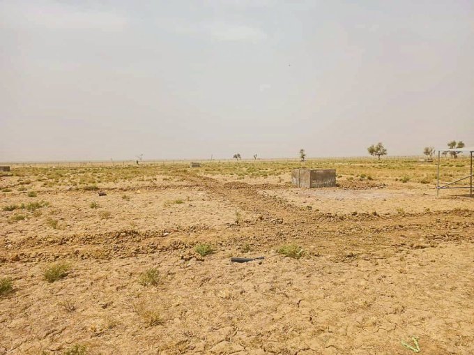 Burkina/ Autonomisation des femmes&nbsp;: Un périmètre aménagé de 2 hectares remis aux femmes de Dori