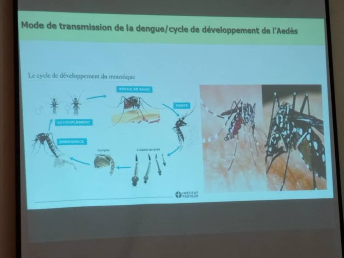 Santé&nbsp;: Le Burkina Faso enregistre 421 décès dus à la dengue à la date du 5 novembre 2023