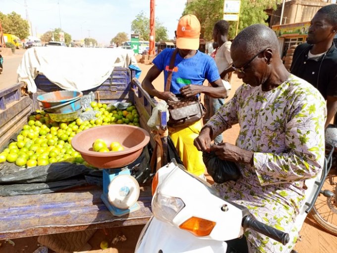 Burkina/Entrepreneuriat : La vente des tangelos, une activité lucrative